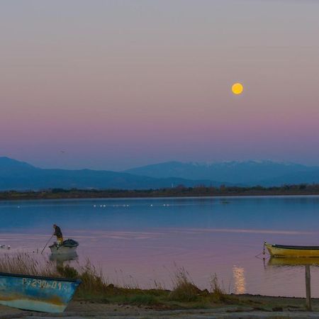 "Voyage" Superbe Vue Mer, Escapade, Evasion Et Bien Etre! Кане-ан-Руссійон Екстер'єр фото