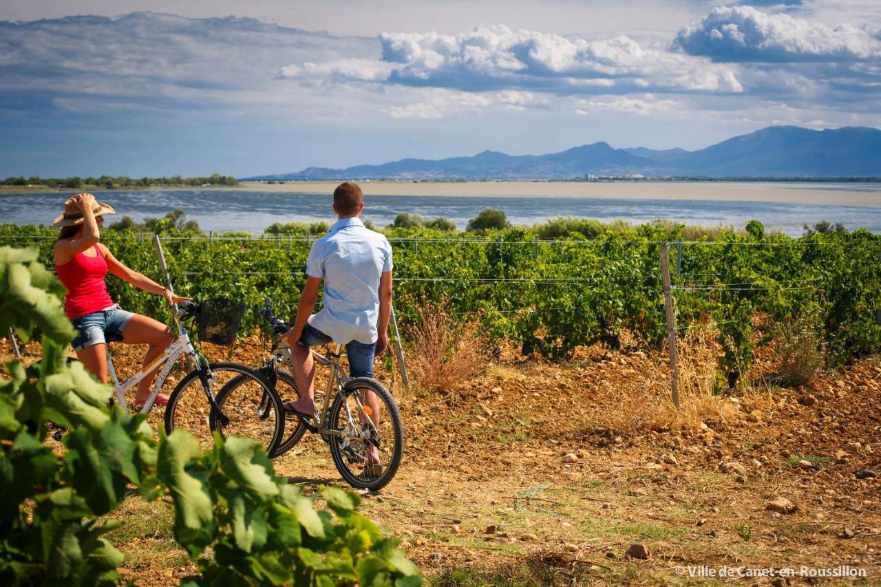 "Voyage" Superbe Vue Mer, Escapade, Evasion Et Bien Etre! Кане-ан-Руссійон Екстер'єр фото